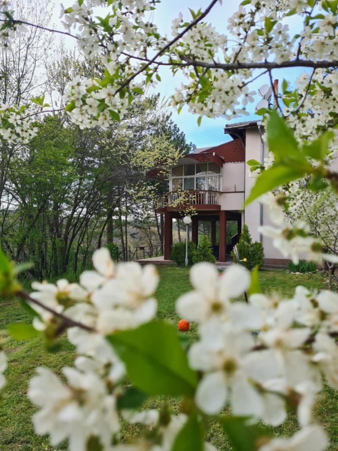 Туристически Дом Кайлъка Plevna Exterior foto