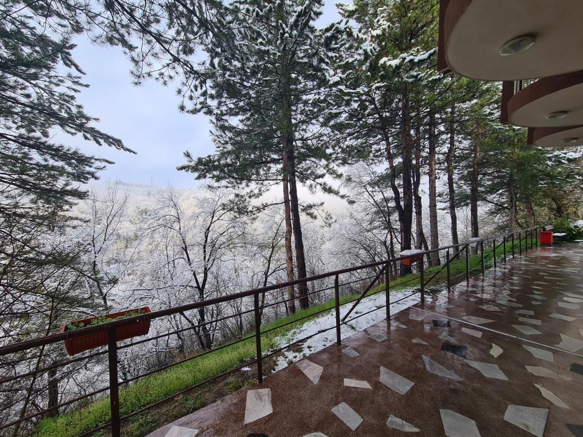 Туристически Дом Кайлъка Plevna Exterior foto